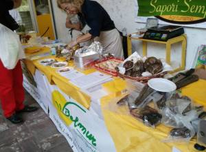 11295572_1110332875650652_3241839841715553659_n