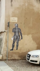 20160222_134813_resized