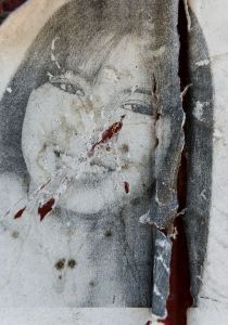 Teresa-Margolles-Pesquisas-5-2016