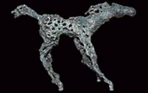 14183920_340900666299424_6075043563660821472_n