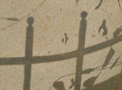 14199766_1448791321804804_593455044839966471_n