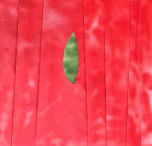 opera-di-antonio-paolino