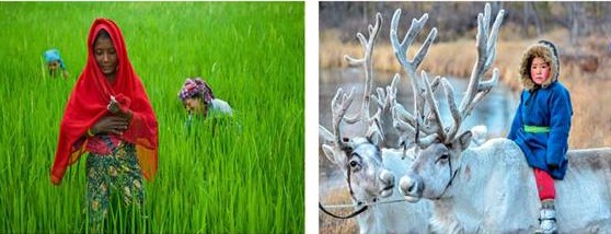 14718851_1523958720952841_7327079735439197833_n